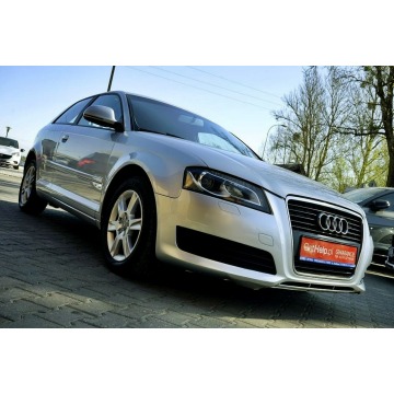 Audi A3  Hatchback 2009,  1.6 diesel - Na sprzedaż za 15 800 zł - Płock - zdjęcie 2