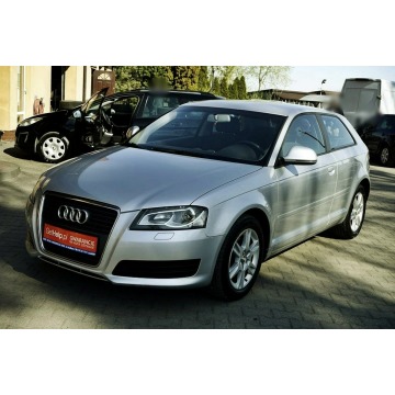 Audi A3  Hatchback 2009,  1.6 diesel - Na sprzedaż za 15 800 zł - Płock - zdjęcie 9