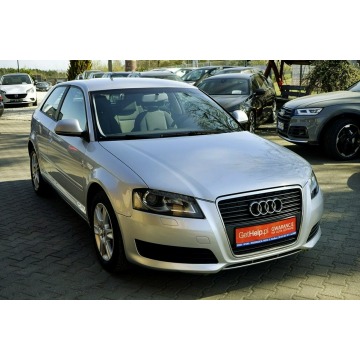 Audi A3  Hatchback 2009,  1.6 diesel - Na sprzedaż za 15 800 zł - Płock - zdjęcie 11