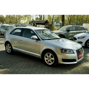 Audi A3  Hatchback 2009,  1.6 diesel - Na sprzedaż za 15 800 zł - Płock - zdjęcie 12