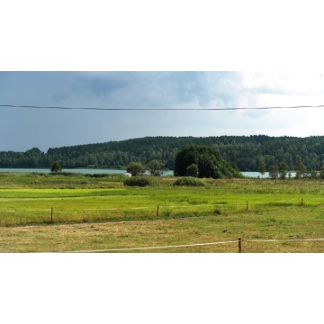 Działka budowlana Wiele sprzedam, pow. 500 m2  (5a), uzbrojona - zdjęcie 2