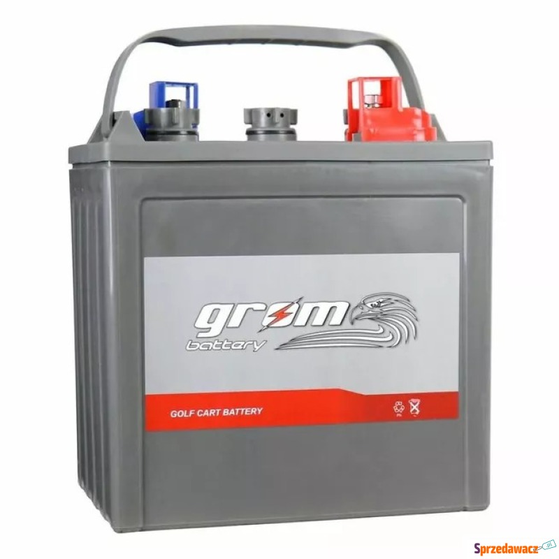 Akumulator trakcyjny Grom 6V 225Ah
