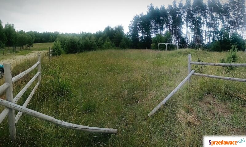 Piękna duża działka w Sitnie !