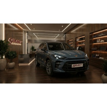 CUPRA TERRAMAR -17%