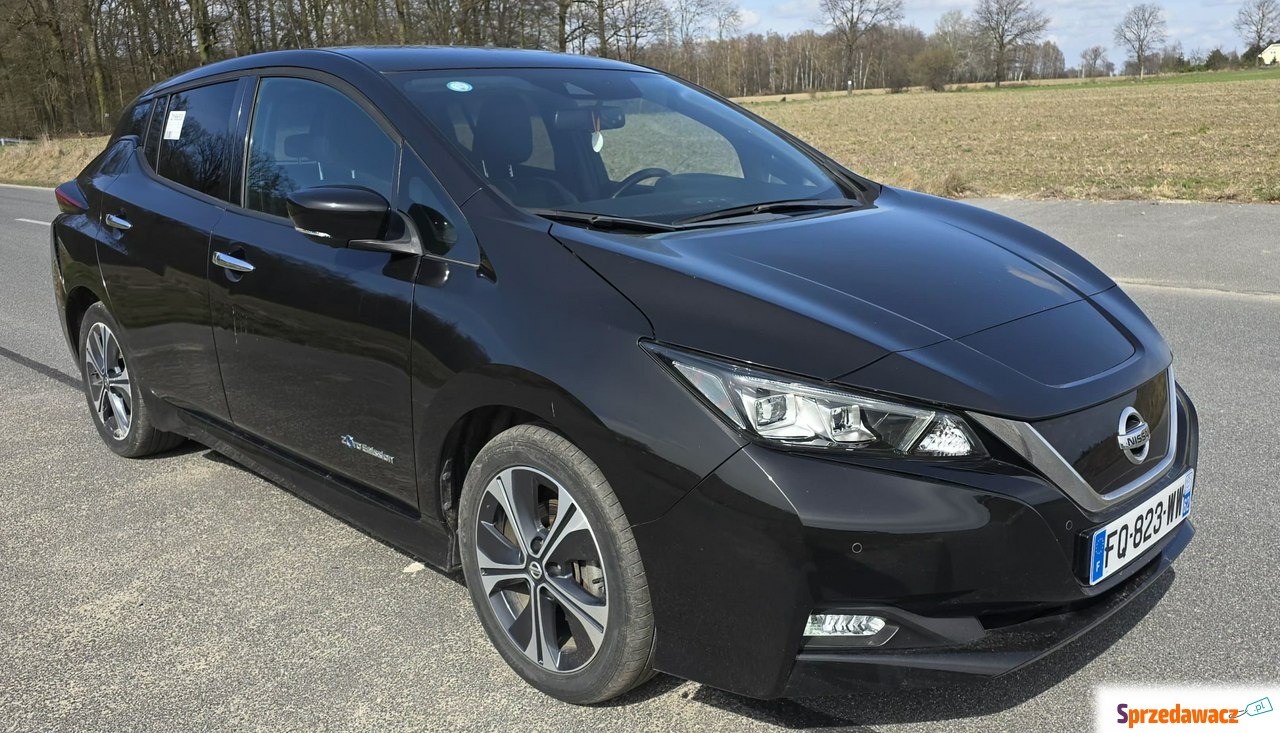 Nissan Leaf 2020