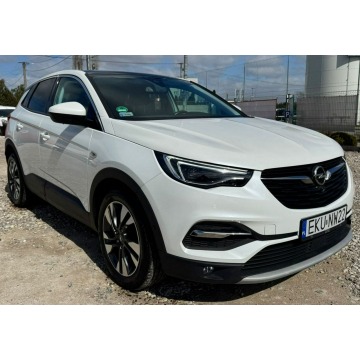 Opel Grandland X  SUV 2018,  2.0 diesel, automat - Na sprzedaż za 54 500 zł - Kutno - zdjęcie 3
