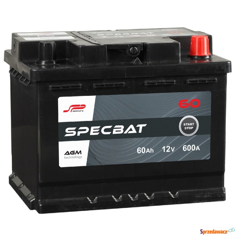 Akumulator Specbat agm start stop 60Ah 600a prawy... - Akumulatory - Ciechanów