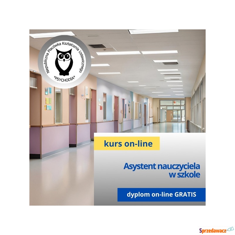 Asystent nauczyciela w szkole kurs...