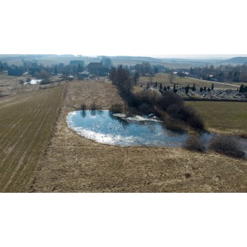 Działka rolna Franknowo sprzedam, pow. 8300 m2  (0.83ha), uzbrojona - zdjęcie 5