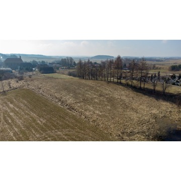 Działka rolna Franknowo sprzedam, pow. 8300 m2  (0.83ha), uzbrojona - zdjęcie 8