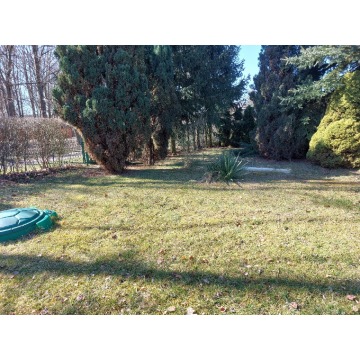 Działka rekreacyjna Lubin sprzedam, pow. 300 m2  (3a), uzbrojona - zdjęcie 3