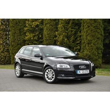 Audi A3  Hatchback 2011,  2.0 diesel - Na sprzedaż za 25 900 zł - Ostrów Mazowiecka - zdjęcie 3