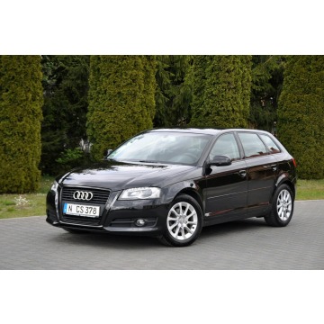Audi A3  Hatchback 2011,  2.0 diesel - Na sprzedaż za 25 900 zł - Ostrów Mazowiecka - zdjęcie 10
