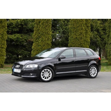 Audi A3  Hatchback 2011,  2.0 diesel - Na sprzedaż za 25 900 zł - Ostrów Mazowiecka - zdjęcie 11