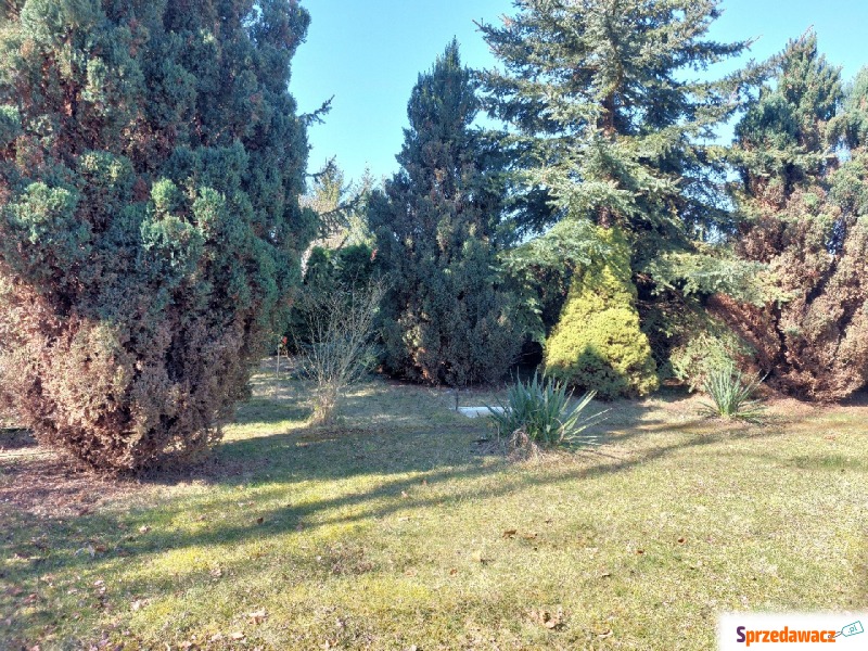 Działka rekreacyjna Lubin sprzedam, pow. 300 m2  (3a), uzbrojona