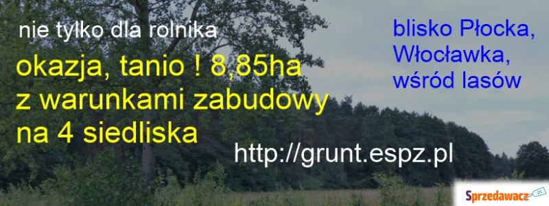 8,85 ha z warunkami zabudowy siedliskowej, strefa... - Pozostałe nieruchomości - Małomin