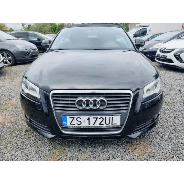 Audi A3  Kabriolet 2010,  2.0 diesel - Na sprzedaż za 21 900 zł - Szczecin - zdjęcie 5