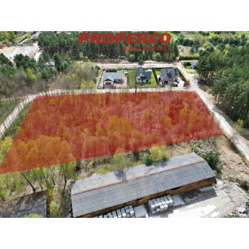 Działka rolno-budowlana Piekoszów sprzedam, pow. 6500 m2  (0.65ha), uzbrojona - zdjęcie 2