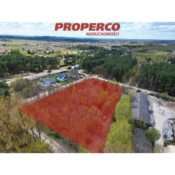 Działka rolno-budowlana Piekoszów sprzedam, pow. 6500 m2  (0.65ha), uzbrojona - zdjęcie 3