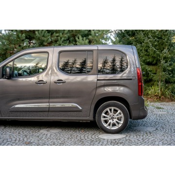 Toyota ProAce  Minivan/Van 2020,  1.2 benzyna - Na sprzedaż za 72 777 zł - Ropczyce - zdjęcie 9