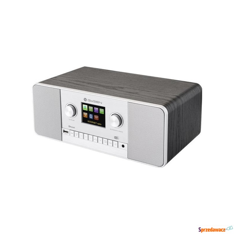 GoGEN IR257BTDAB