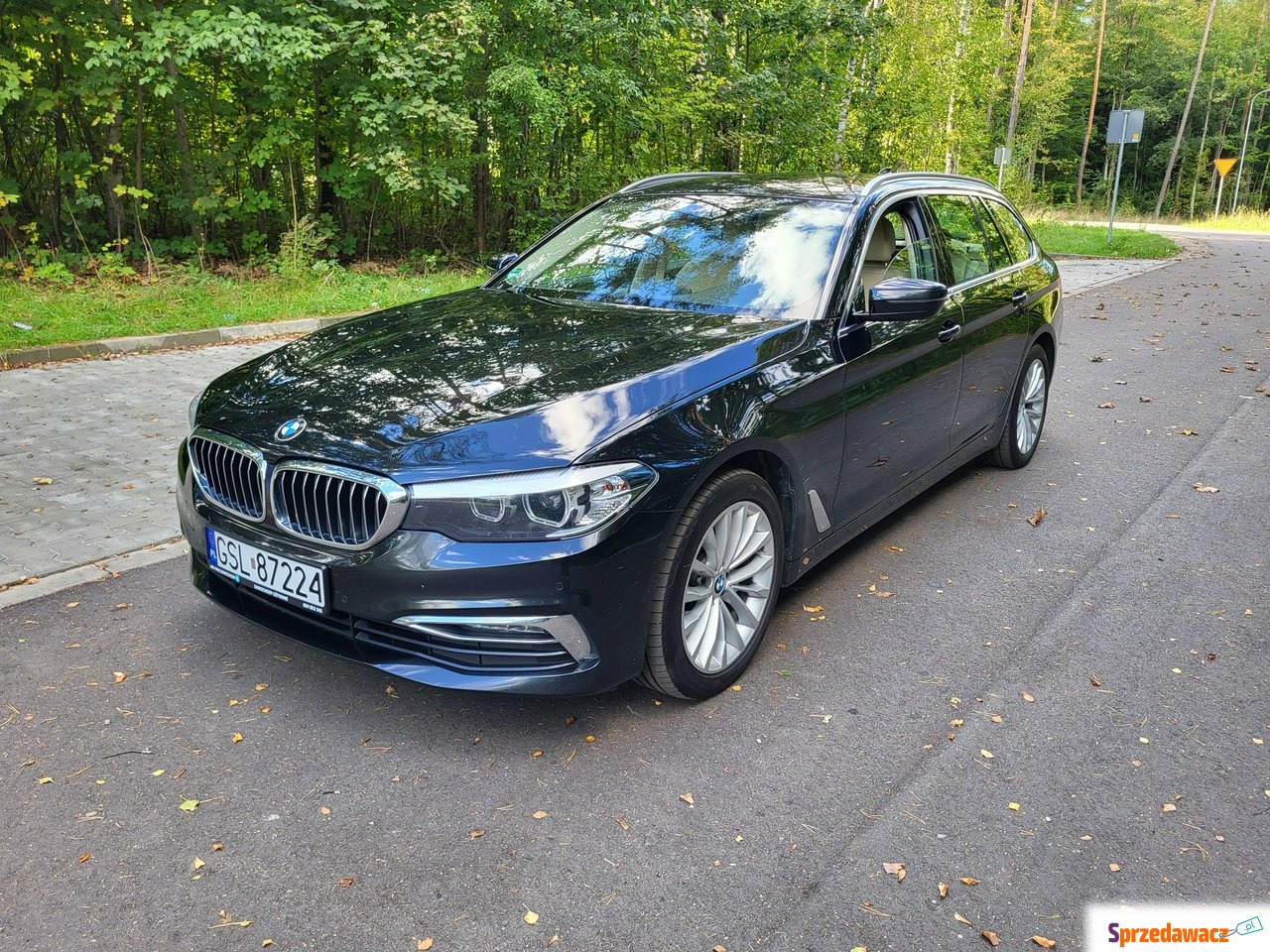 BMW Seria 5 2020