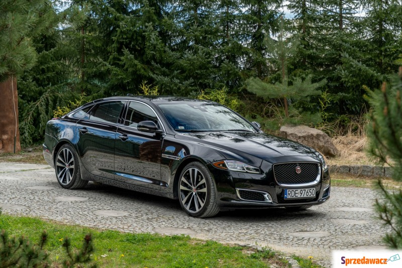 Jaguar XJ  Sedan/Limuzyna 2019,  3.0 benzyna, automat - Na sprzedaż za 139 777 zł - Ropczyce