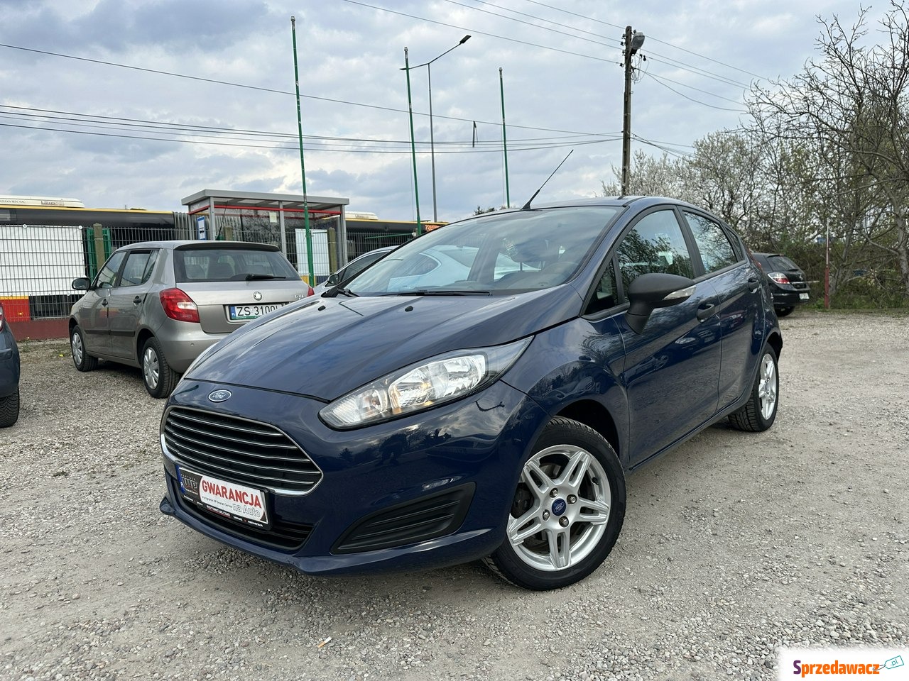 Ford Fiesta 2013
