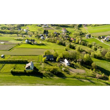 Działka Lichwin sprzedam, pow. 1200 m2  (12a) - zdjęcie 2