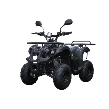 Inna Inny - Quad ATV 125cc MODEL N7 Automat Koła... - Pozostałe motocykle - Ząbkowice Śląskie - zdjęcie 3