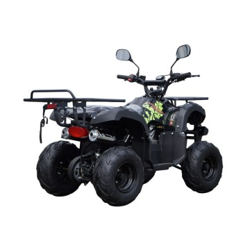 Inna Inny - Quad ATV 125cc MODEL N7 Automat Koła... - Pozostałe motocykle - Ząbkowice Śląskie - zdjęcie 12