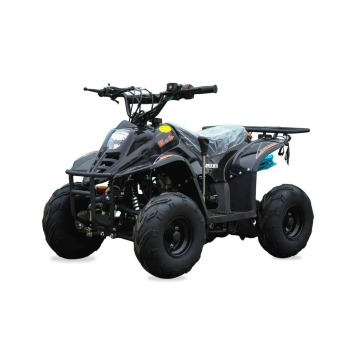 Inna Inny - Quad ATV 125cc MODEL BS B6 Automat... - Pozostałe motocykle - Ząbkowice Śląskie - zdjęcie 3