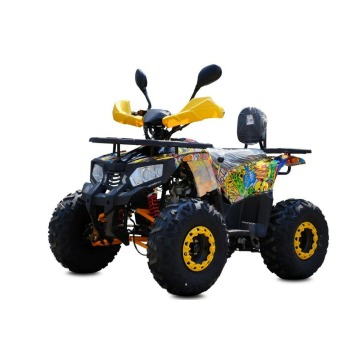 Inna Inny - Quad ATV 125cc Commander Premium... - Pozostałe motocykle - Ząbkowice Śląskie - zdjęcie 3