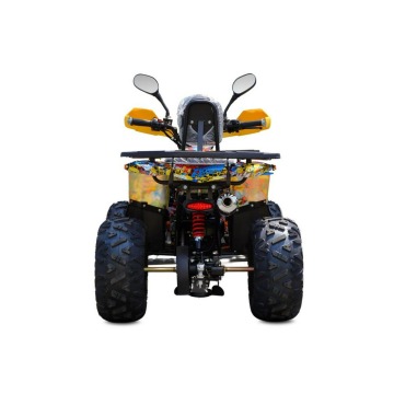 Inna Inny - Quad ATV 125cc Commander Premium... - Pozostałe motocykle - Ząbkowice Śląskie - zdjęcie 9