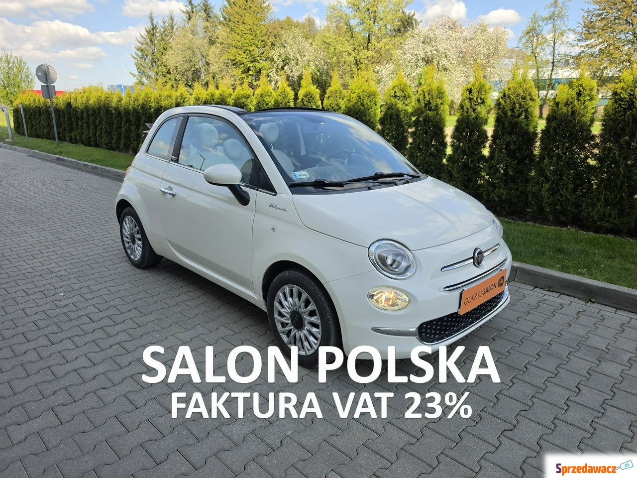 Fiat 500 2022