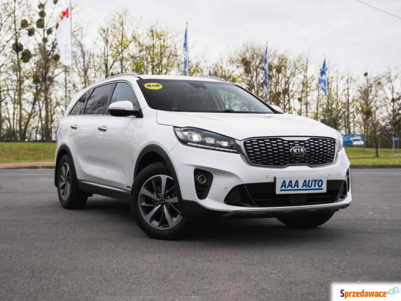 Kia Sorento  SUV 2019,  2.0 diesel, automat - Na sprzedaż za 84 999 zł - Zabrze