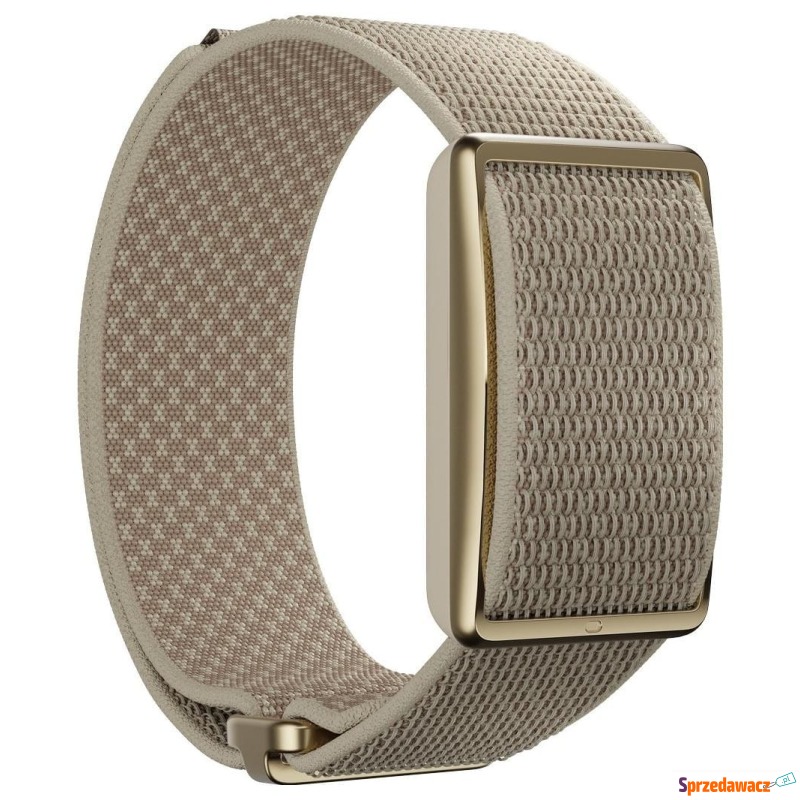Polar Loop szaro-złoty S-L