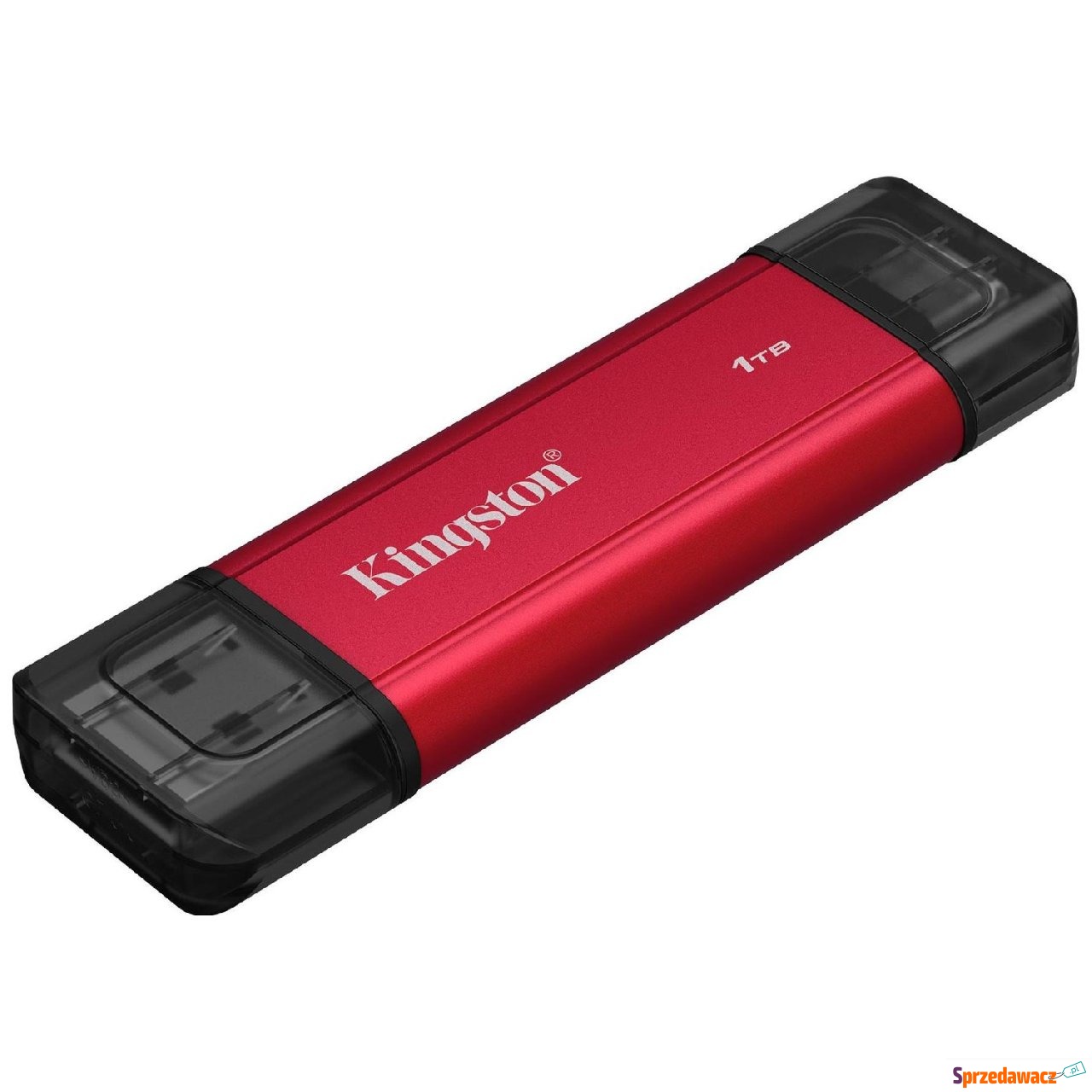 Kingston SSD DualPortable 1TB