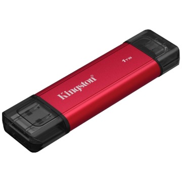 Kingston SSD DualPortable 1TB