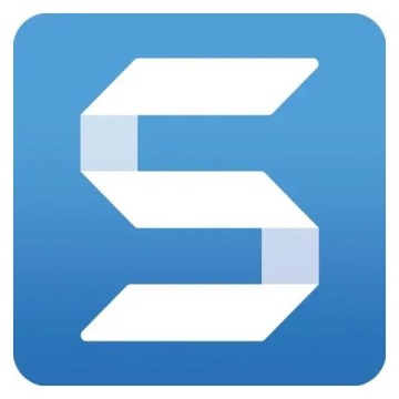 Programy i pakiety graficzne Snagit 2025 Business GOV ENG - subskrypcja na rok