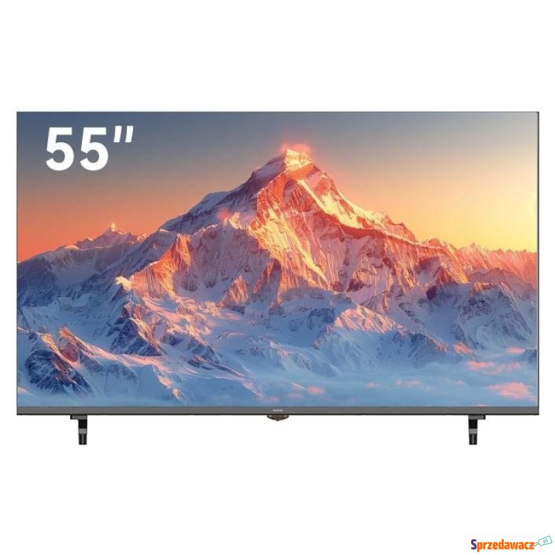 AIWA TS-551N 55'' 60Hz LED 4K Tizen