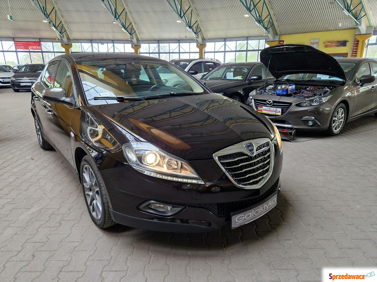Lancia Delta 2013