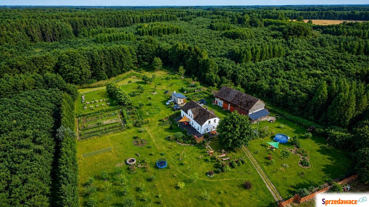 Agro Nieruchomość na Skraju Lasu