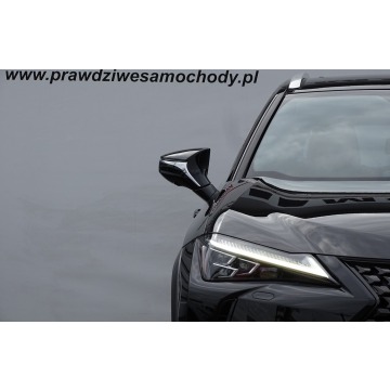 Lexus   SUV 2020 elektryczny, automat - Na sprzedaż za 108 900 zł - Mielec - zdjęcie 4