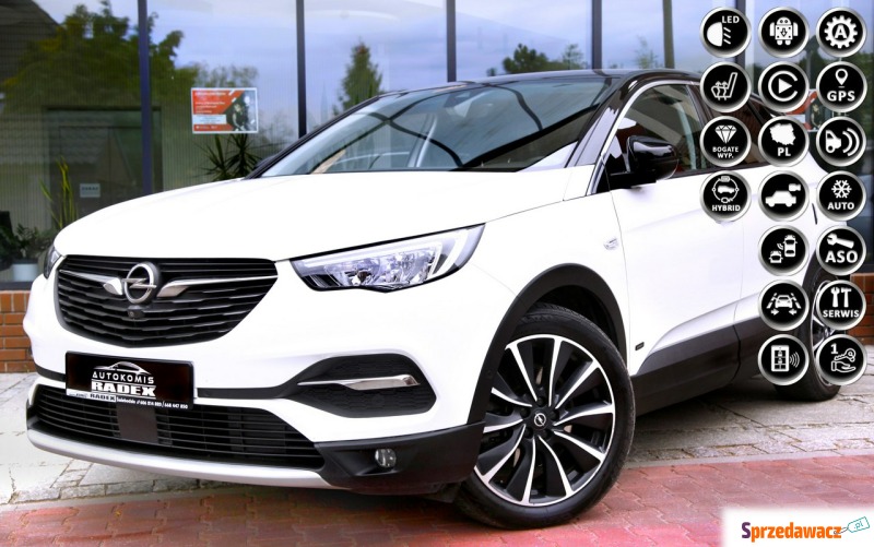 Opel Grandland X  SUV 2020,  1.6 hybryda, automat - Na sprzedaż za 57 900 zł - Świebodzin