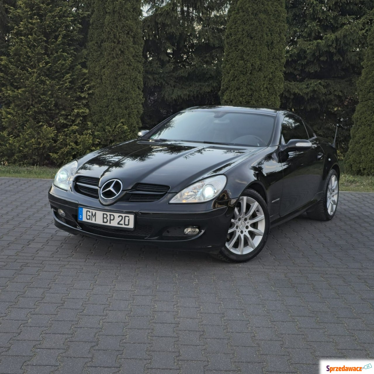 Mercedes - Benz SLK-klasa 2006