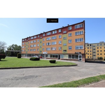 Lokal do wynajęcia w Wapnie - Lokale użytkowe do w... - Wapno - zdjęcie 1