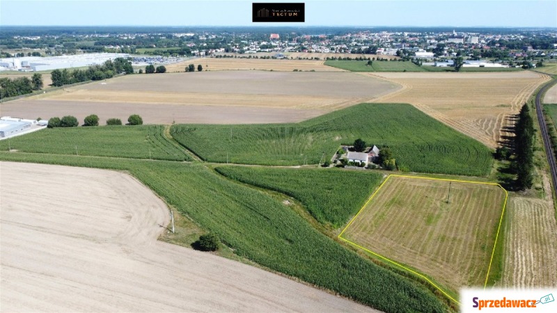 DZIAŁKA Z HALĄ NA SPRZEDAŻ ŁĘGOWO GM. WĄGROWIEC - Działki na sprzedaż - Łęgowo