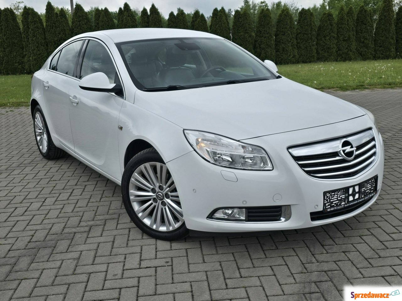 Opel Insignia 2013