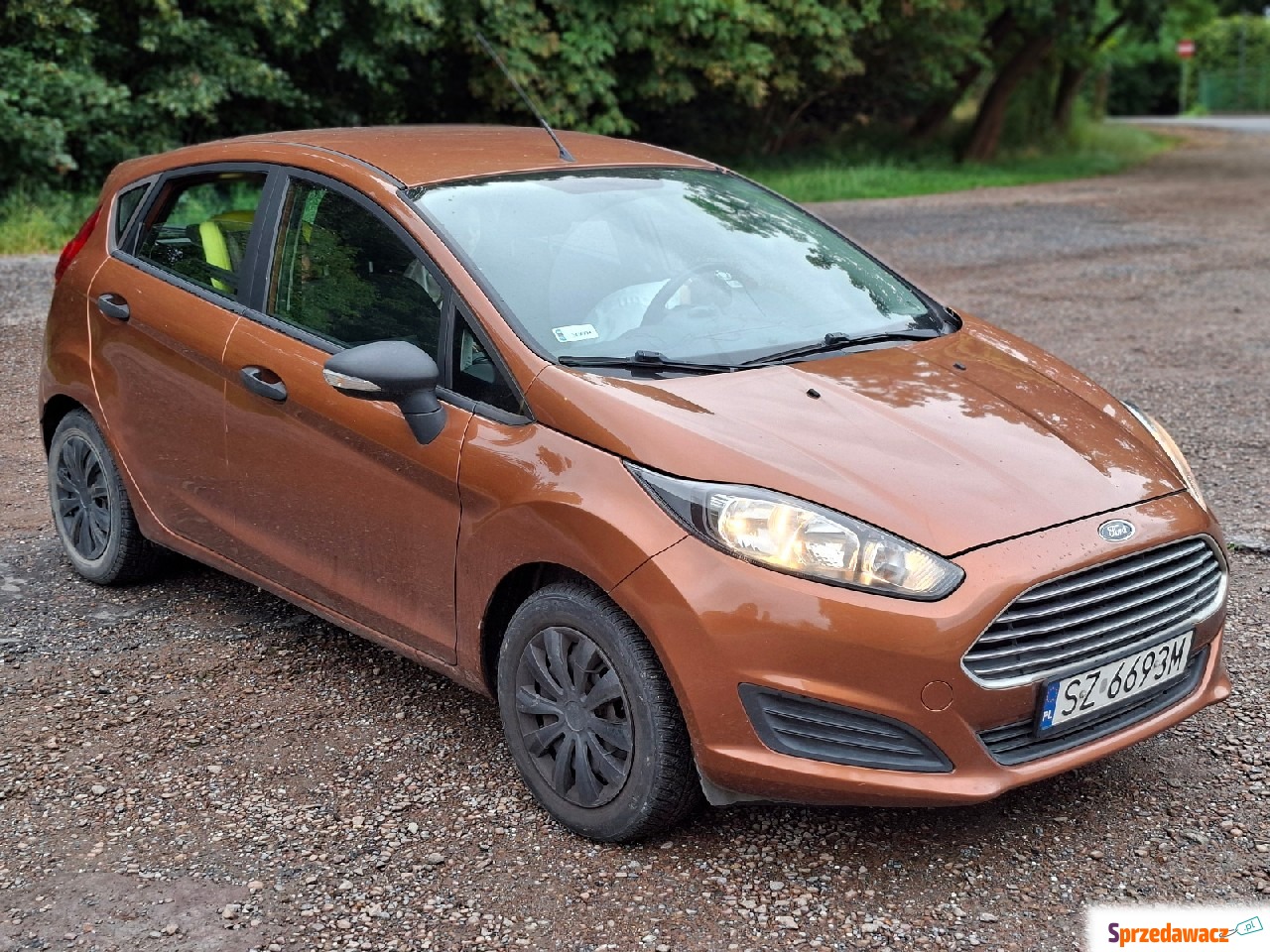 Ford Fiesta 2015